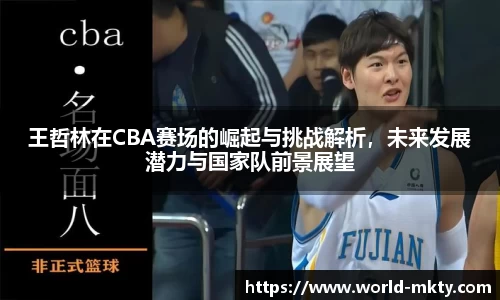 王哲林在CBA赛场的崛起与挑战解析，未来发展潜力与国家队前景展望