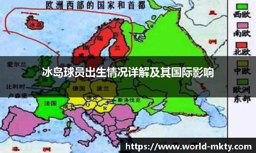 冰岛球员出生情况详解及其国际影响
